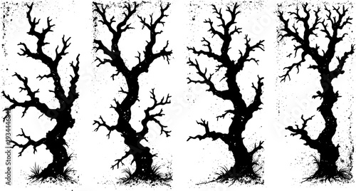 Silhouettes of four barren trees with twisted branches and exposed roots on white background