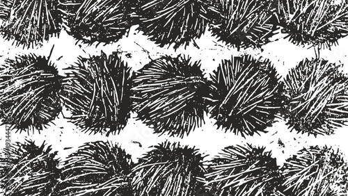 Sea urchins with spiky shells arranged in rows on a sandy surface, marine wildlife close up