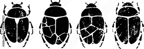 Four black silhouette beetles with varied body patterns in a row on white background