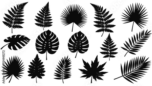 Vector illustration of collection of tropical and exotic leaf silhouettes for design on a transparent background