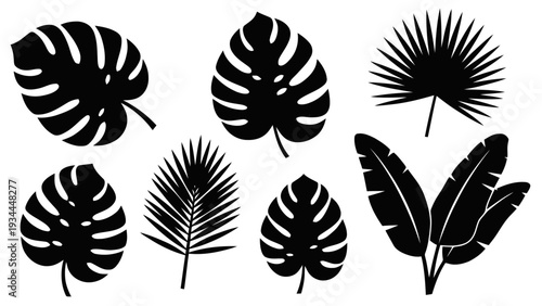 Vector illustration of set of tropical leaves silhouettes monstera, palm, and banana leaves on a transparent background