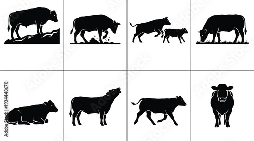 Silhouette collection of various cow poses in a minimalist vector style for agricultural and livestock themes