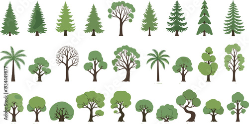 Various green trees collection including pine palm and deciduous vector set