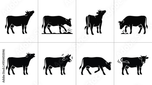 Illustrative vector design featuring various cow poses showcasing common actions and behaviors in a minimalist style