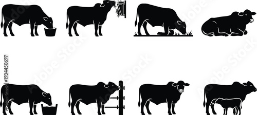 Silhouette illustrations of cows in various poses, showcasing feeding, grazing, resting, and nurturing behaviors in a simple vector format.