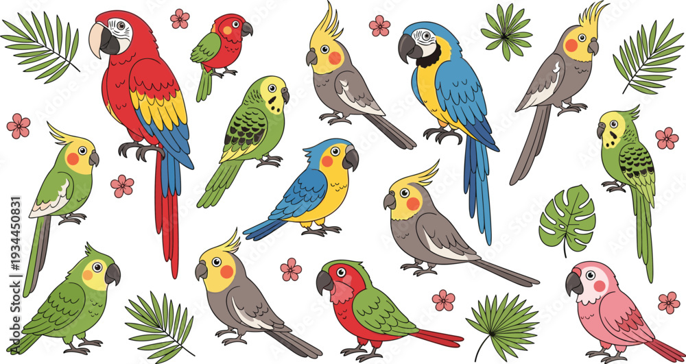 Obraz premium Colorful tropical parrots and cockatiels collection vector illustration set