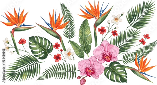 Tropical flowers and palm leaves botanical vector illustration collection