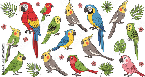 Colorful tropical parrots and cockatiels collection vector illustration set