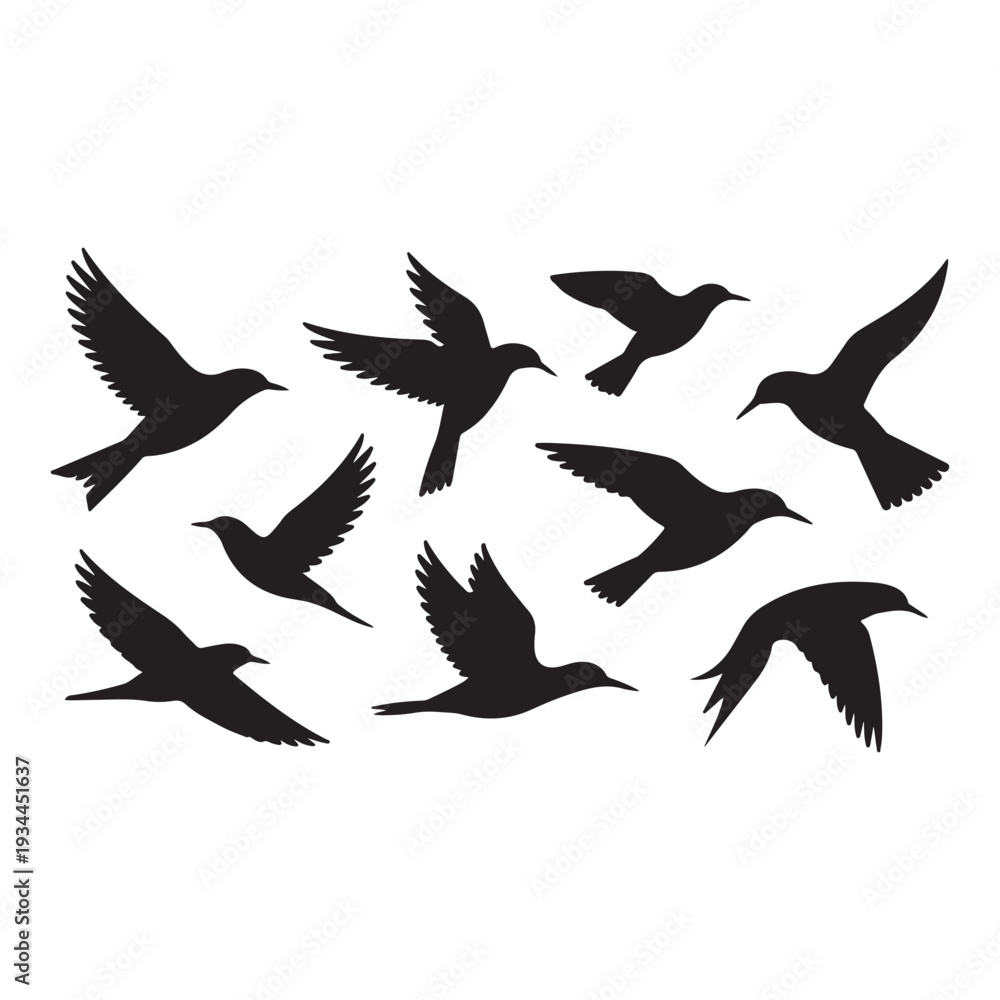 Obraz premium A flock of black birds in flight silhouettes against a white backdrop