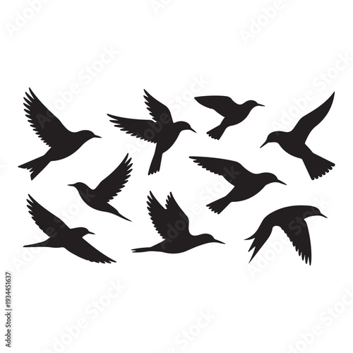 A flock of black birds in flight silhouettes against a white backdrop