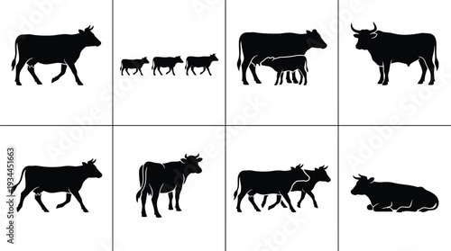 Silhouetted illustrations of various cow poses and sizes in a minimalistic style for agricultural themes