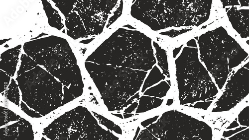 Abstract black and white cracked stone pattern background with irregular shapes and rough texture