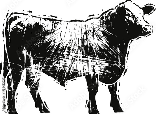 Black and white cow illustration with distressed texture effect farm animal sketch design
