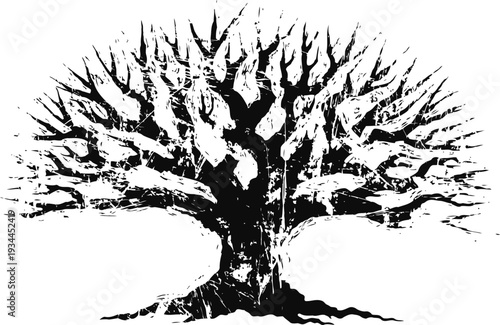 Black silhouette of barren tree with spreading branches and roots on white background