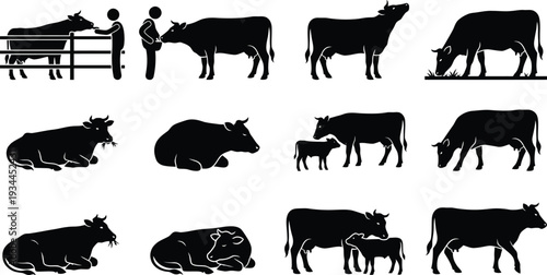 Illustration of various cow silhouettes showcasing different poses and interactions, ideal for agricultural and farming themes
