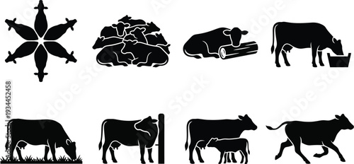 Collection of Black Silhouettes Depicting Cows in Various Poses and Activities for Agriculture and Farming Illustrations