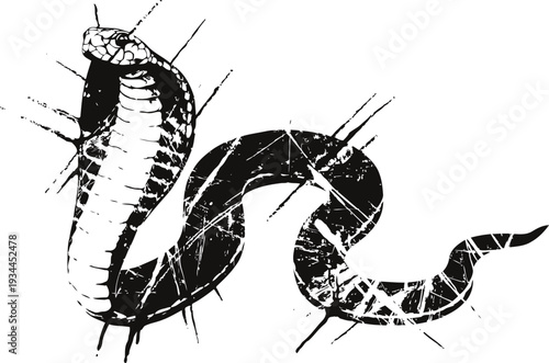 Cobra snake illustration with raised hood and striking posture, grunge tattoo drawing