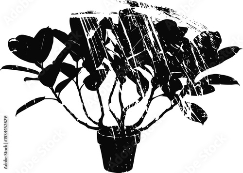 Indoor potted plant silhouette with broad leaves and heart shaped foliage against white background