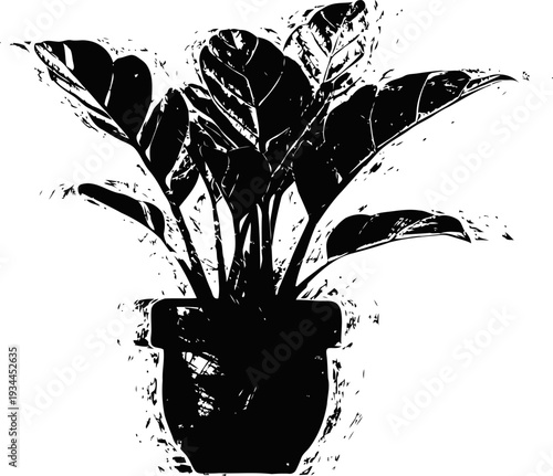 Indoor potted plant silhouette with large leaves on white background