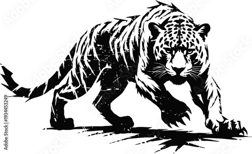Black and white tiger illustration powerful wild feline stepping forward in stalking pose majestic big cat drawing