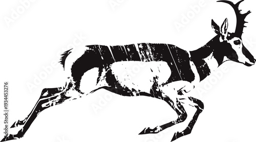pronghorn antelope silhouette running fast, wildlife animal in motion with distinct pointed horns