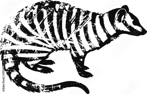 striped ferret illustration in black and white with textured brush strokes and minimalist