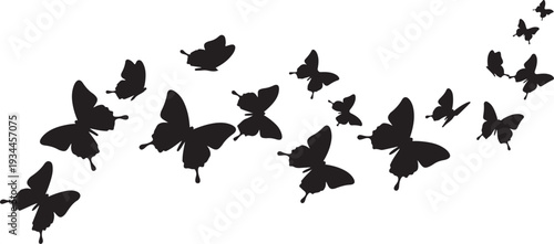 Silhouette of butterflies flying in formation on white background