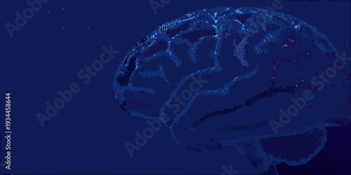A human brain silhouette against a dark starry night sky
