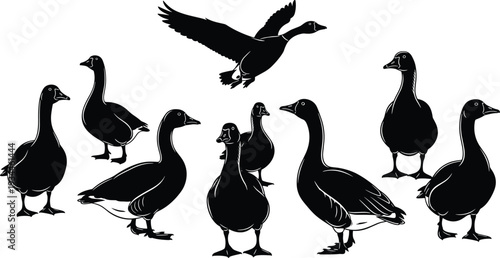 Goose silhouette collection with standing and flying poses, black waterfowl bird vector illustration isolated on white background