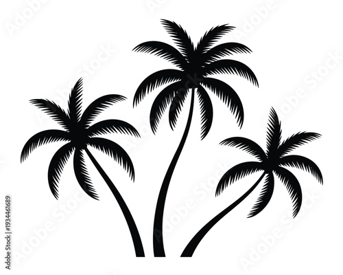Three tall palm trees standing closely together against a plain background