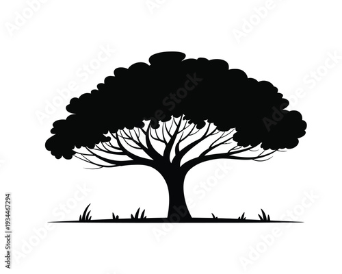 A solitary tree with a full canopy standing on a grassy field