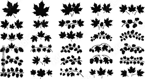 Black silhouettes of maple leaves and berries on white background