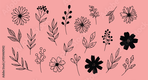 Spring flower collection with blooming floral elements pastel colors and fresh seasonal vibes