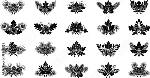 Black silhouettes of various pinecones and leaves on white background