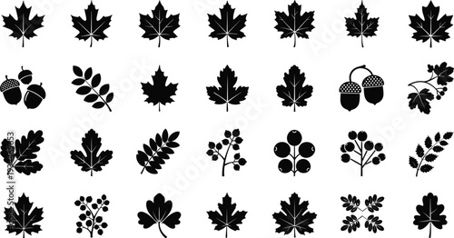 Collection of black silhouettes of various leaves and berries