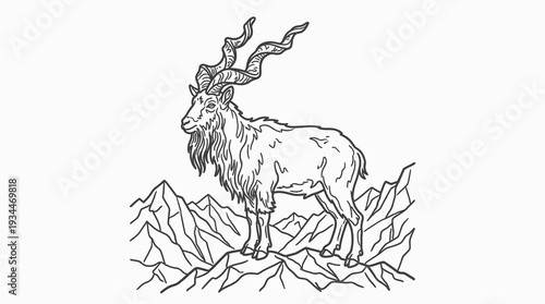 Hand-drawn illustration of a majestic Markhor goat with impressive spiraling horns standing on a rocky mountain peak.