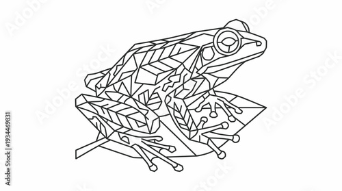 Geometric frog illustration with clean lines and a stylized, modern design on a white background