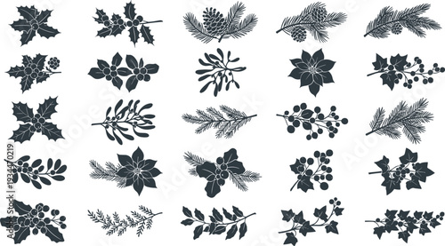 Dark green Christmas leaves and branches for holiday designs