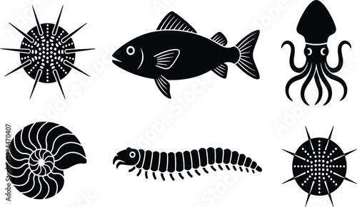 Set of Six Marine and Terrestrial Invertebrate Silhouettes Featuring Sea Urchin, Fish, Squid, Nautilus, Centipede, and Spiky Creature Isolated on White Background