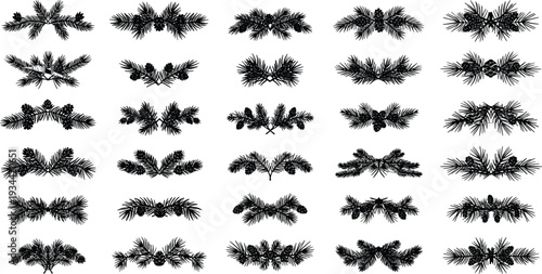 Set of black pine branches with pinecones on white background