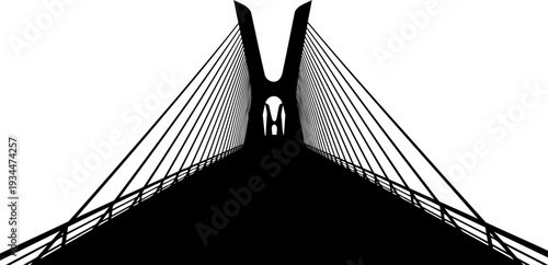 Modern cable stayed bridge with a distinctive v shaped pylon
