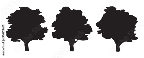 various deciduous trees silhouettes on the white background. vector  set  Nature foliage design bundle, simple black isolated tree shapes . 