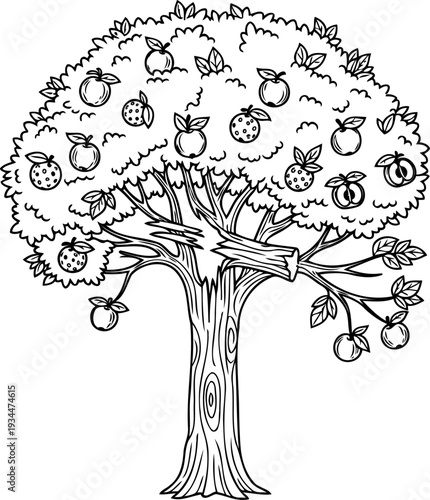 Apple tree with ripe fruit and a snapped branch illustration