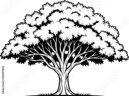 Dense leafy tree with high contrast shading and thick foliage