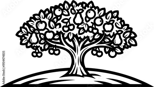 Diverse fruit tree with apples pears and cherries on a hill