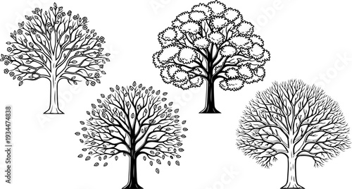 Diverse tree species illustrate various foliage and branch patterns