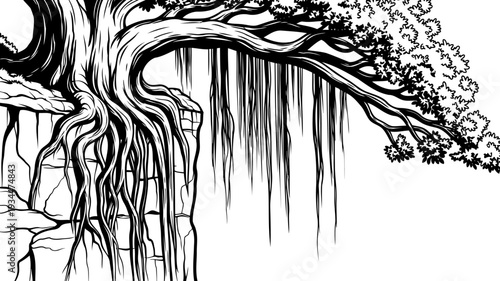 Exposed tree roots and branches hanging over a rocky precipice