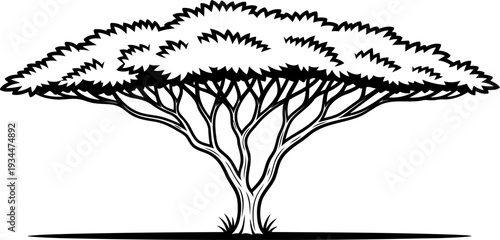 Flat topped acacia tree typical of the african savanna