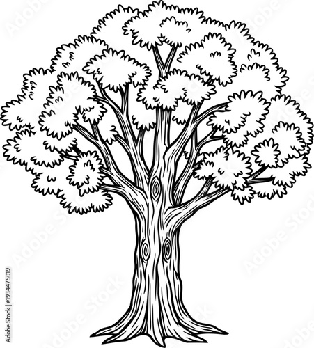 Large leafy oak with visible knots in the main trunk