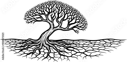 Leafless tree standing on parched and cracked dry earth during a drought